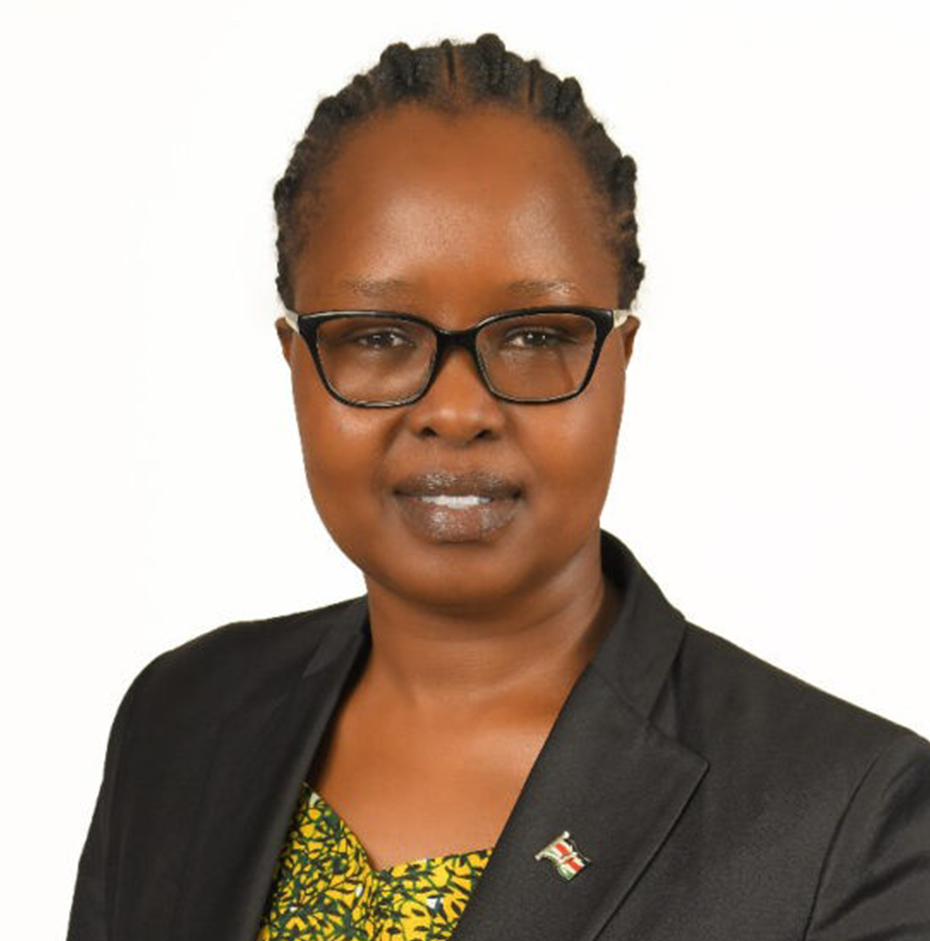 Hon Florence Jematia – Mp Baringo